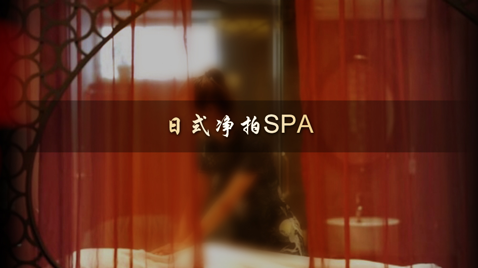 ��ʽ����SPA
